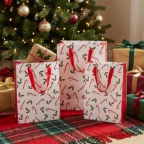 Article Sachet cadeau de Noël avec anses rouge et blanc 24×18×8 cm (lot de 4)