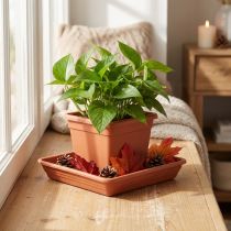 Article Soucoupe carrée terracotta 29x29 cm en plastique