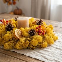 Article Mousse de lichen d’Islande jaune 400g
