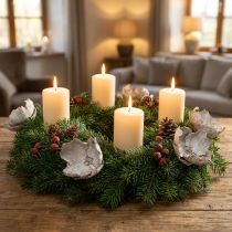 Article Fleurs séchées Palm Cup blanchi avec tige en bois - Set de 25