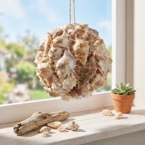 Article Boule décorative en coquillages Ø12 cm avec attache en fibre de coco