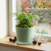 Article Cache-pot en verre vert mat Ø14,5cm H12,5cm