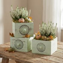 Article Ensemble de 3 Cache-pots en Bois Vert Style Shabby Chic