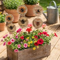 Article Lot de 12 piques décoratives en bois motif abeille avec message – 7 x 27,5 cm