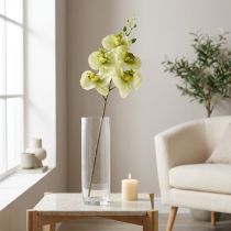 Article Orchidée Artificielle Phalaenopsis Jaune Vert 85 cm