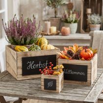 Article Boîtes en bois rustiques avec surface tableau noir – Naturel & Noir – Lot de 3 tailles différentes