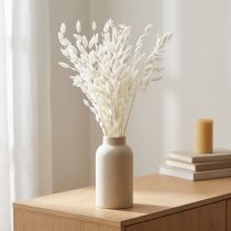 Article Avoine sauvage séchée Chasmantium Blanc 70 cm 10 pcs