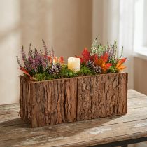 Article Caisse rectangulaire en bois avec écorce de pin 27×10cm