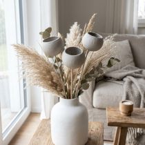 Article Coupe de Fruits Séchés sur Tige Gris 37 cm - Lot de 3