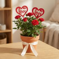 Article Piques décoratives cœur rouge et blanc en bois avec inscription Love - 7 cm - Lot de 12