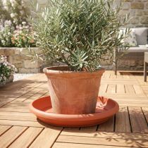 Article Soucoupe ronde en plastique terracotta Ø44cm pour pots de fleurs