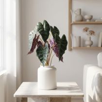 Article Plante artificielle Alocasia verte et violette 48 cm