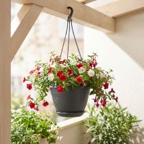 Article Suspension pour Plantes en Plastique Ø30cm Anthracite