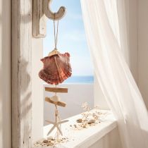 Article Suspension décorative marine avec coquillages, bois flotté et étoile de mer, H 40 cm
