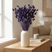 Article Herbe Séchée Phalaris Violette 50-55 cm 100 g