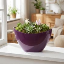 Article Coupe décorative ovale en plastique violet et noir 20×9×12cm