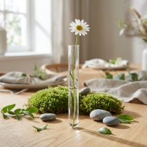 Article Tube en verre transparent 100×10 mm pour décoration et mini-vase
