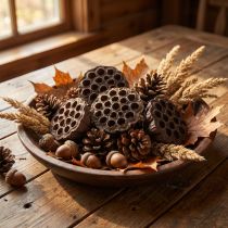 Article Larges capsules de lotus séchées naturelles – 100 pièces