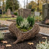 Article Jardinière cœur cimetière, cœur de vigne à planter 26cm