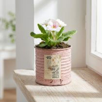 Article Pot décoratif en métal rose antique effet vintage Ø8 cm
