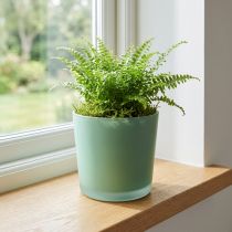 Article Cache-pot en verre vert mat Ø11,5cm H11cm
