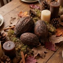 Article Fruits de Cacaoyer Naturels Décoratifs 10-18 cm - Lot de 15