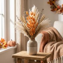 Article Lagurus séché couleur abricot 55-60 cm - Bouquet 50 g