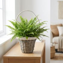 Article Panier en osier gris avec anse blanche Ø25 cm H45 cm pour décoration