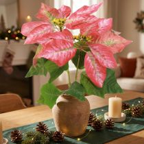 Article Étoile de Noël artificielle rouge et rose 35 cm - Lot de 6