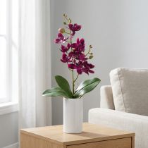 Article Petite orchidée artificielle Phalaenopsis en tissu - Fuchsia intense - 30 cm