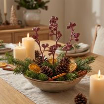 Article Branches d'eucalyptus rouges givrées – Lot de 25