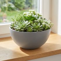 Article Coupe en plastique gris pour plantes Ø25cm H12cm