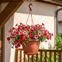 Article Suspension pour plantes en plastique Ø30cm couleur terracotta