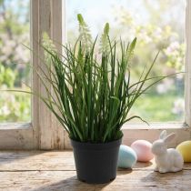 Article Dekoration - Muscari artificiel crème en pot noir, 26 cm