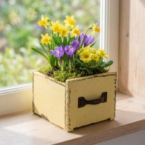 Article Petite boîte en bois jaune pastel pour plantes et décorations, 12,5 cm