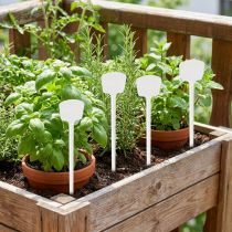 Article Plaquettes de Plantes à Piquer en Plastique Blanc 32 cm - Lot de 10