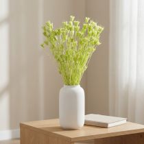 Article Fleurs séchées Nigella en vert naturel pour décoration intérieure 70 cm 50 g