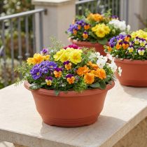 Article Pots ronds en plastique terracotta 27 cm - Lot de 5