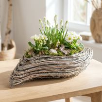 Article Jardinière Bac à plantes Rotin et vigne Blanchie 45×16cm