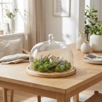 Article Cloche en verre avec plateau en bois Ø22 cm H16,5 cm
