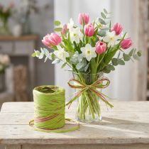 Article Ruban déco effet raphia, rose et vert clair, 200 m