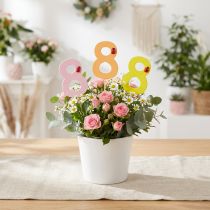 Article Pique chiffre 8 en bois coloré avec coccinelle - Lot de 16 - 7,5 cm