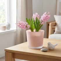 Article Cache-pot en verre rose ancien Ø11,5cm H11cm