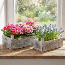 Article Pots rectangulaires décoratifs en bois blanchi avec doublure plastique 2 tailles - Lot de 2