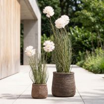 Article Kugelblume Allium artificielle en pot 54 cm blanc