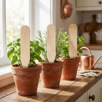 Article Lot de 12 étiquettes en bois pour plantes et herbes aromatiques 10 cm