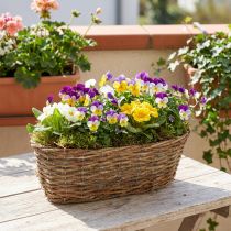 Article Panière ovale en osier naturel pour plantes, 30 cm