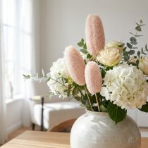Article Luffa naturel blanchi sur tige - Lot de 25 pièces