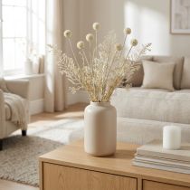Article Tige décorative de fleurs artificielles Pampas et Allium, crème beige, H60cm