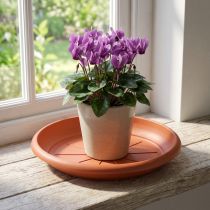 Article Soucoupe ronde Ø18 cm en plastique terracotta
